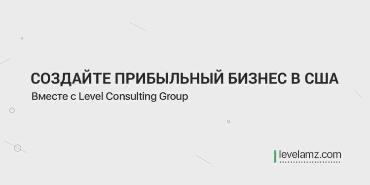 Level Consulting Group