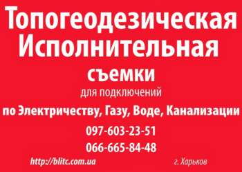 БЛИЦ КОНСАЛТИНГ